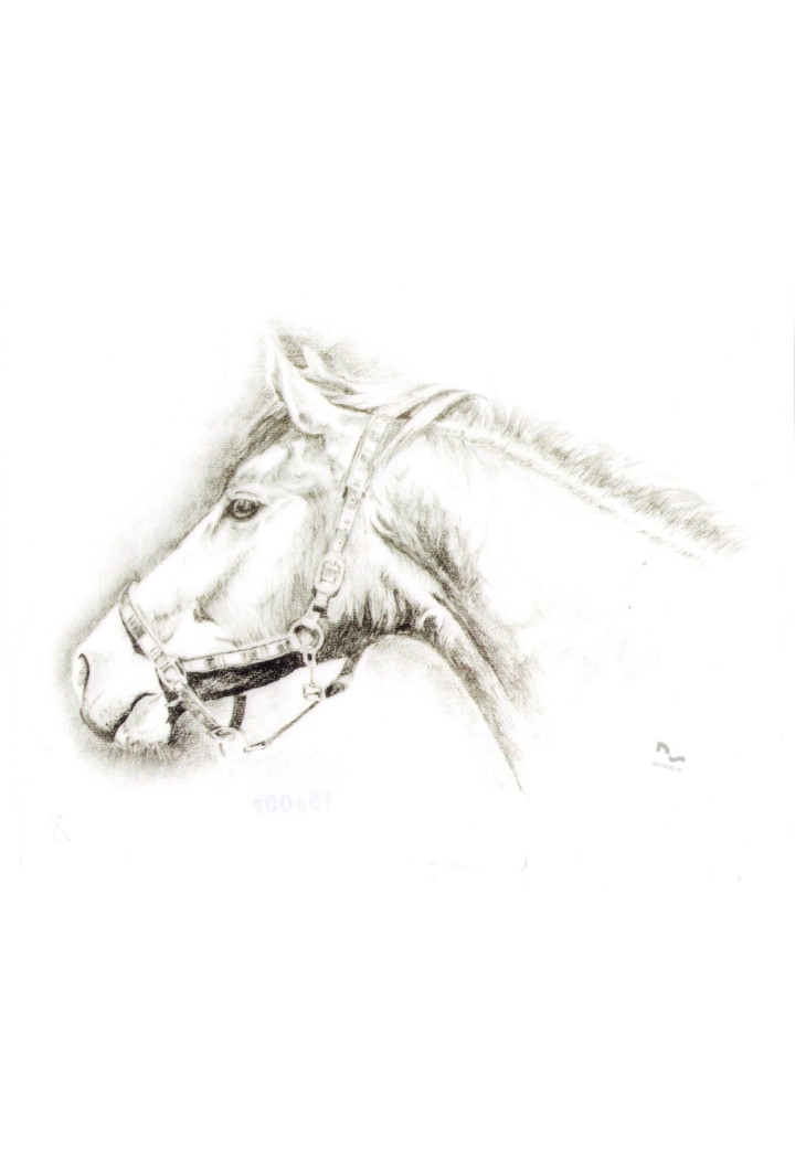 Naklejka na samochód DO STAJNI rysunek 8 black