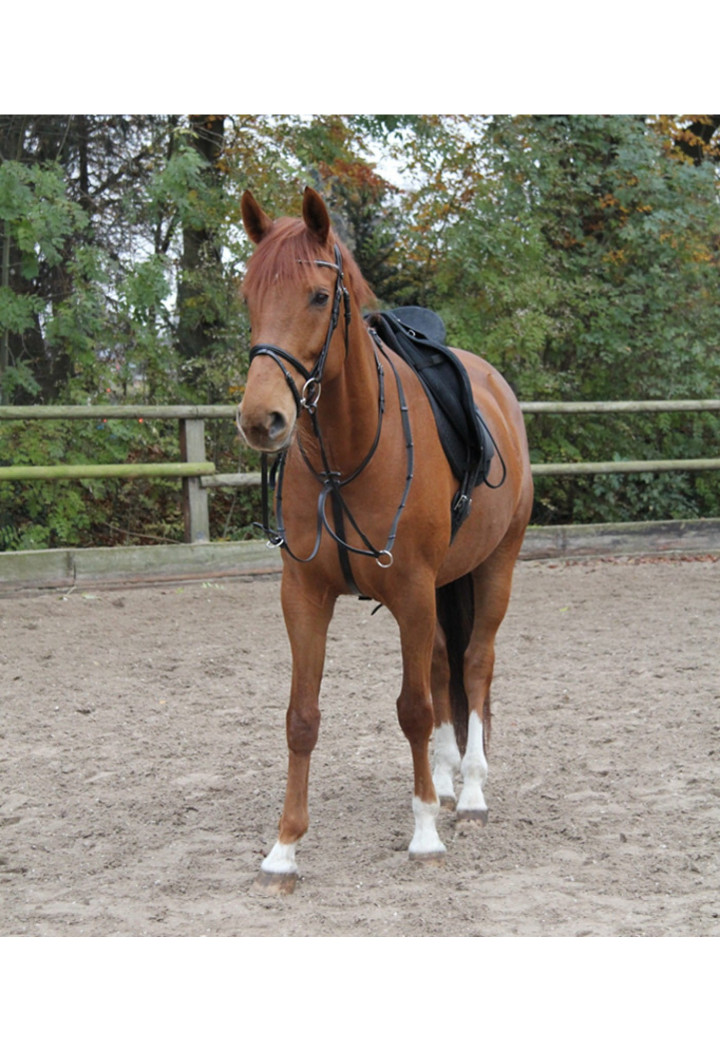 Wytok STAR skórzany