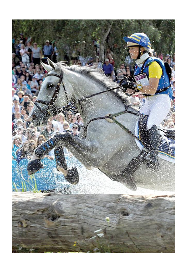 Ochraniacze PREMIER EQUINE AirCooled przód