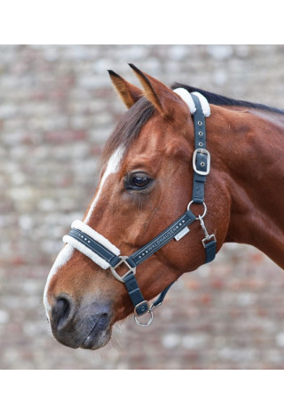 Kantar WALDHAUSEN Elegant