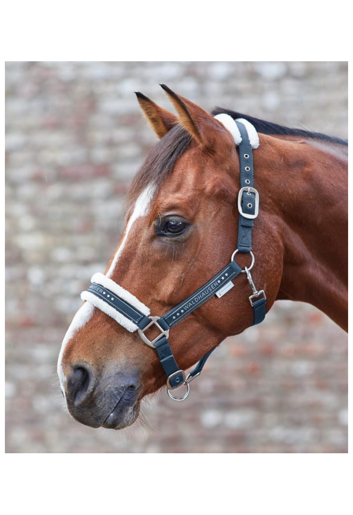 Kantar WALDHAUSEN Elegant