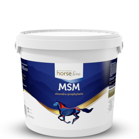 Suplement na stawy HORSE LINE MSM 3000g