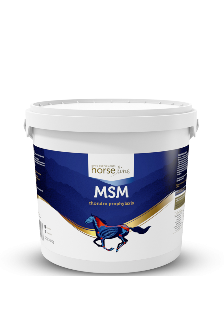 Suplement na stawy HORSE LINE MSM 3000g