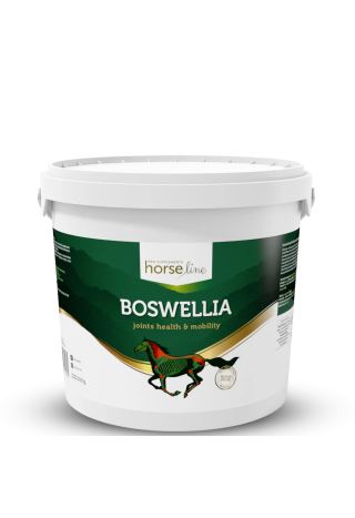 Suplement na stawy HORSE LINE Boswellia 2000g