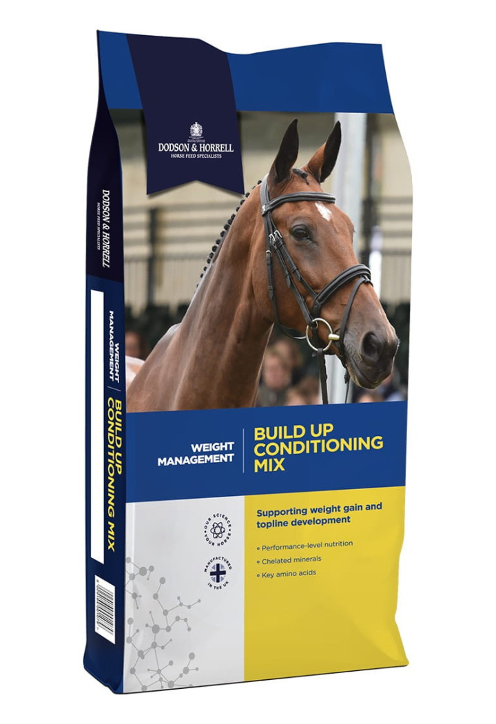 Pasza D&H BuildUpMix 20kg musli