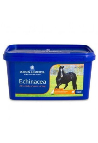 Echinacea D&H suszona 1kg