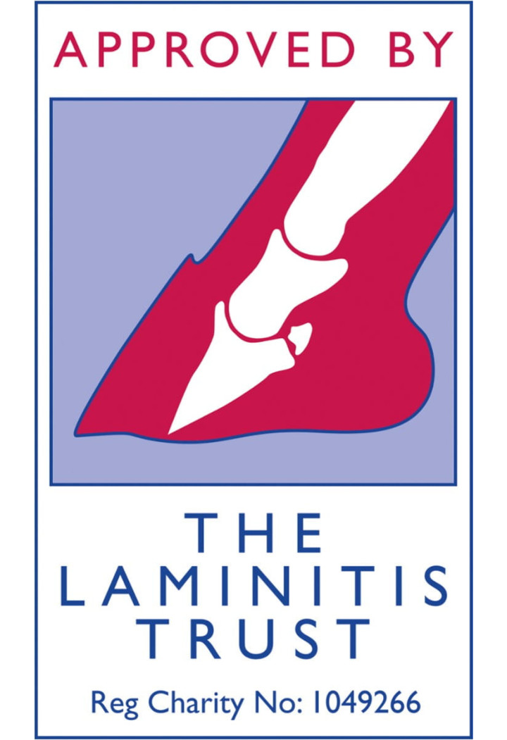 Sieczka DENGIE Alfa-A bez melasy 20kg