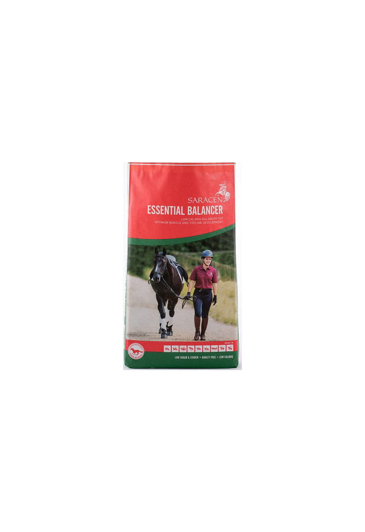 Pasza SARACEN Essential Balancer 20kg