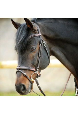 Ogłowie KAVALKADE EveryDay