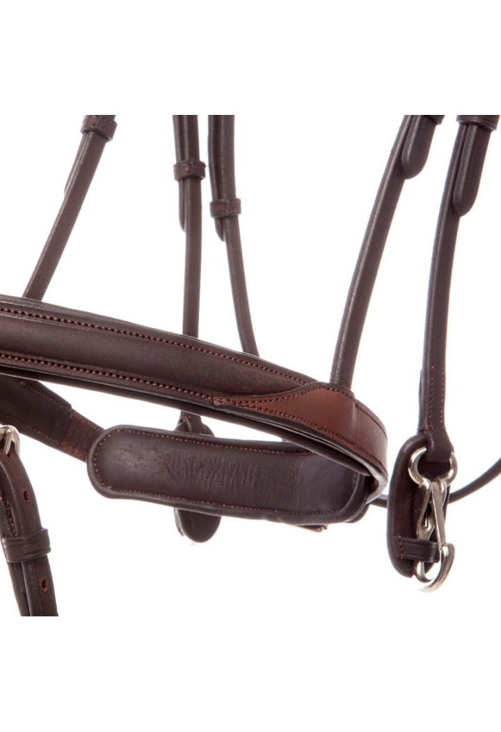 Ogłowie KAVALKADE EveryDay