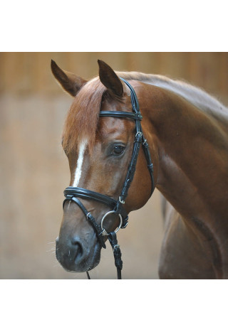 Ogłowie KAVALKADE Quentin