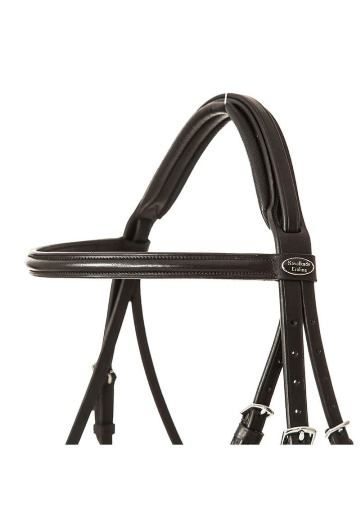 Ogłowie KAVALKADE Quentin