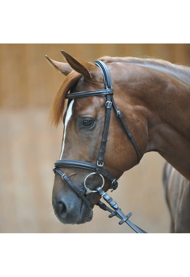 Ogłowie KAVALKADE Quentin