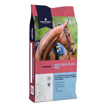 Pasza D&H Sixteen Plus Mix 20kg musli
