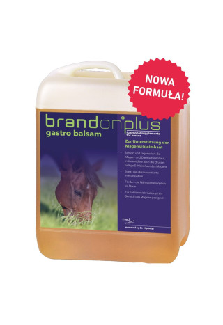 Preparat ST.HIPPOLYT Brandon+ Gastro Balsam 2,5l
