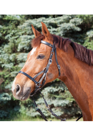 Ogłowie STAR BitlessTwo bezwędzidłowe