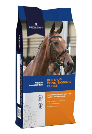 Pasza D&H Build Up Cubes 20kg granulat