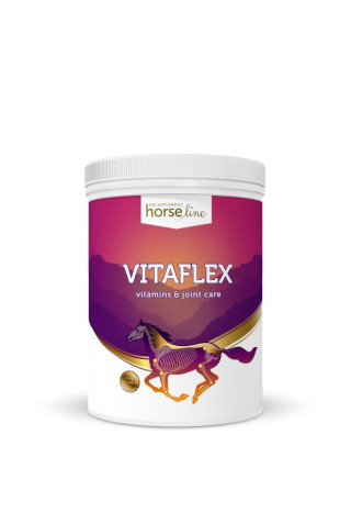 Witaminy i minerały HORSE LINE VitaFlex 2000g