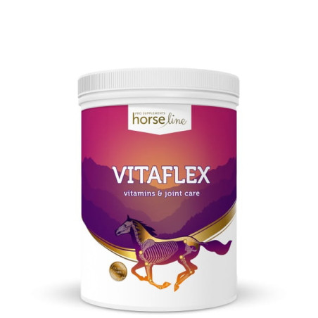 Witaminy i minerały HORSE LINE VitaFlex 2000g