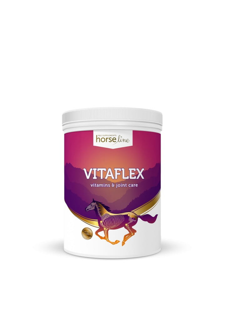 Witaminy i minerały HORSE LINE VitaFlex 2000g