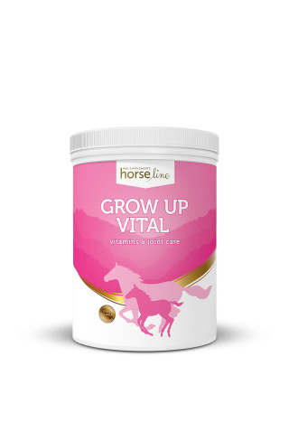 Witaminy i minerały HORSE LINE GrowUpVital 2000g