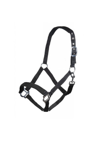 Kantar HKM Sydney Style