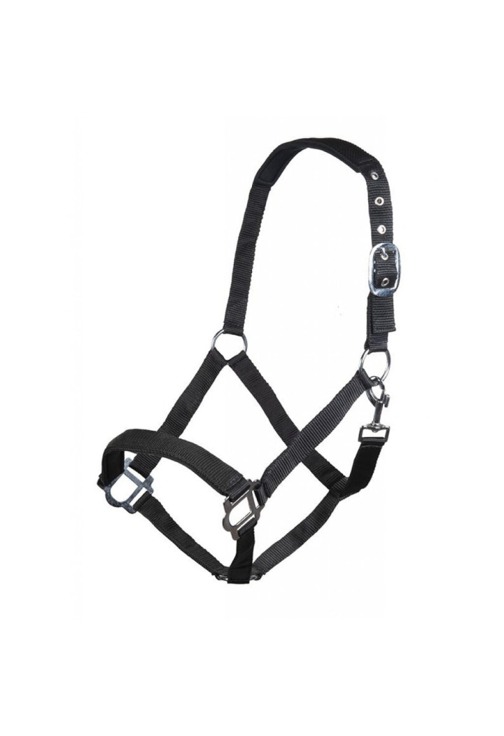 Kantar HKM Sydney Style