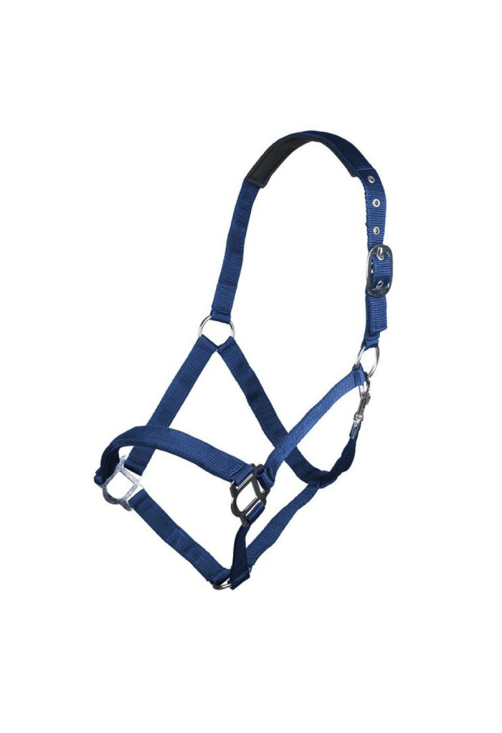 Kantar HKM Sydney Style