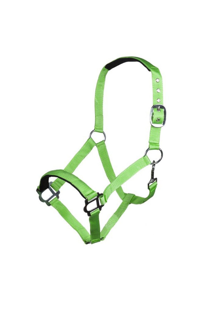 Kantar HKM Sydney Style