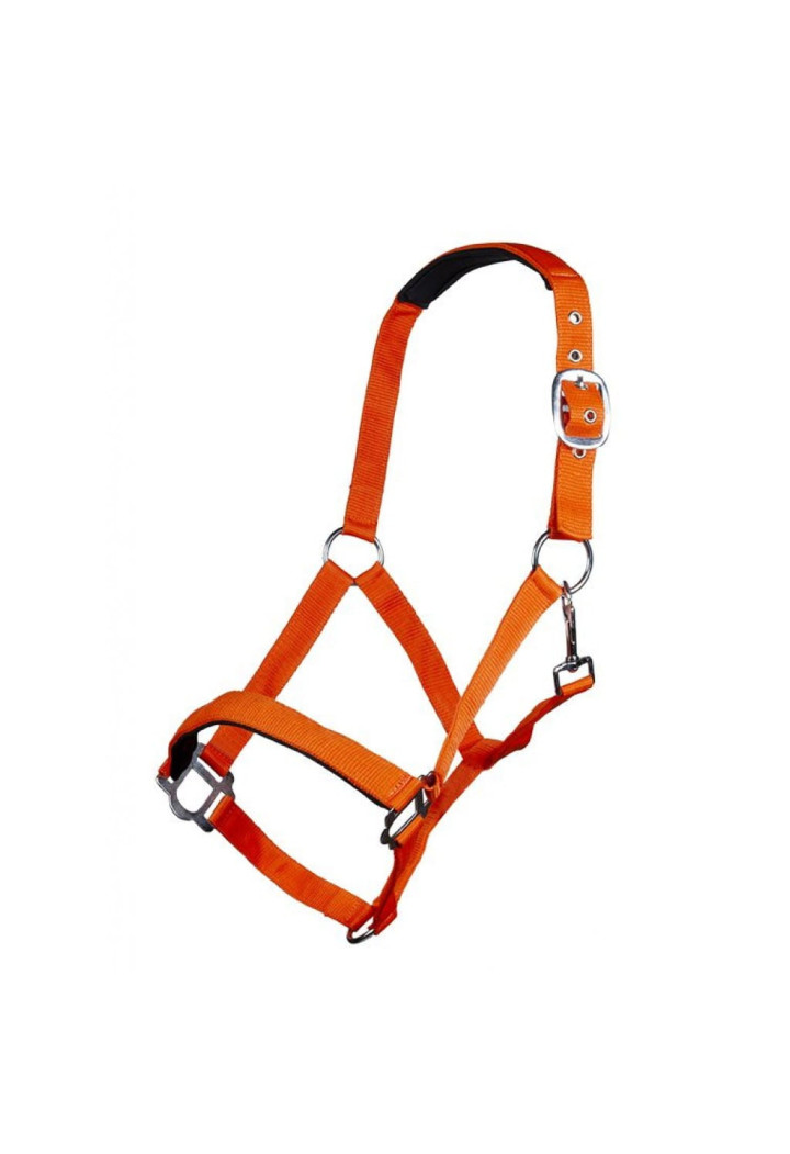 Kantar HKM Sydney Style