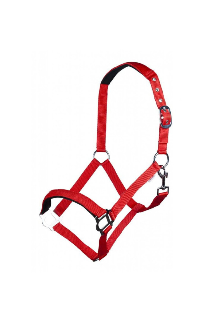 Kantar HKM Sydney Style