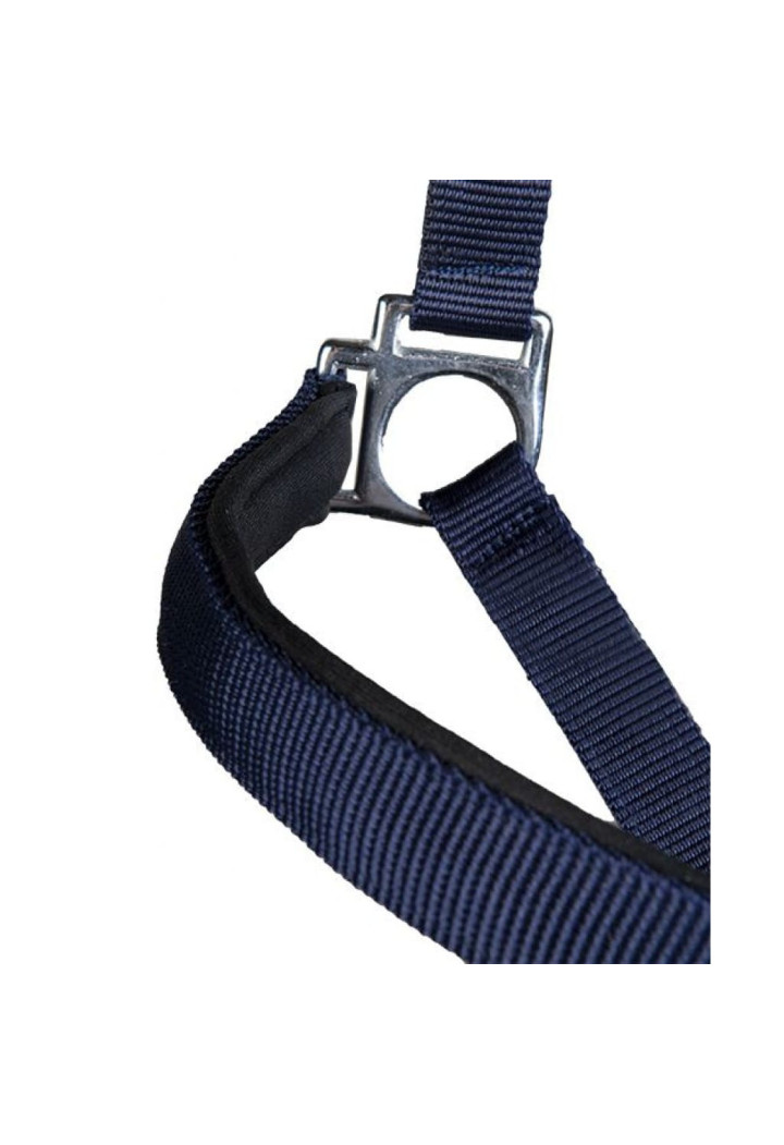 Kantar HKM Sydney Style