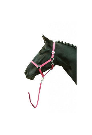 Kantar HKM Stars Economy