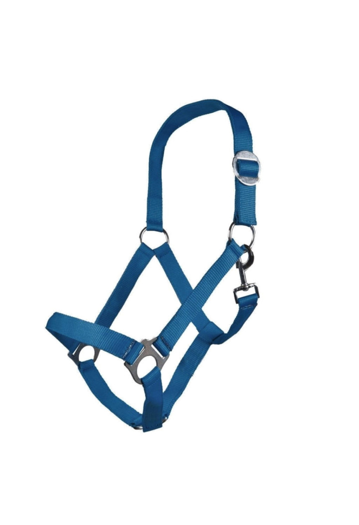 Kantar HKM Stars Economy