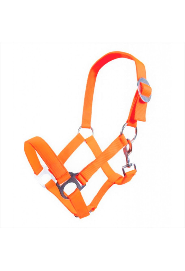 Kantar HKM Stars Economy