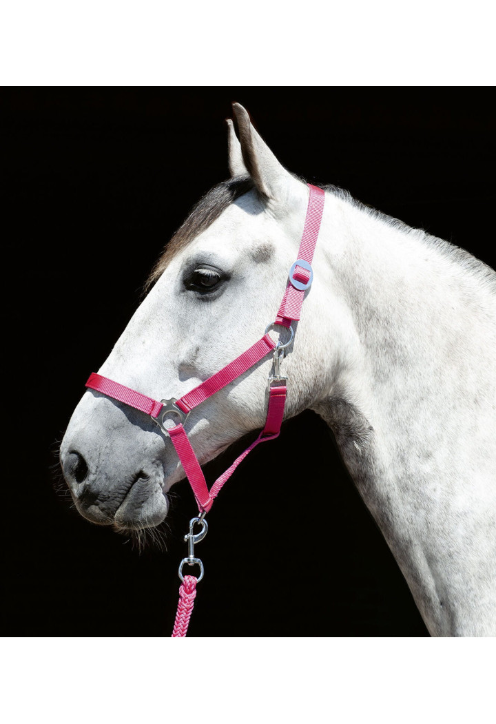 Kantar HKM Stars Economy