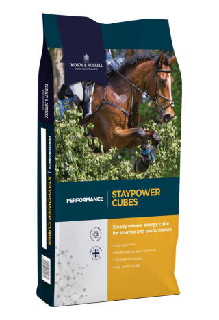 Pasza D&H Stay Power Cubes 20kg pelet