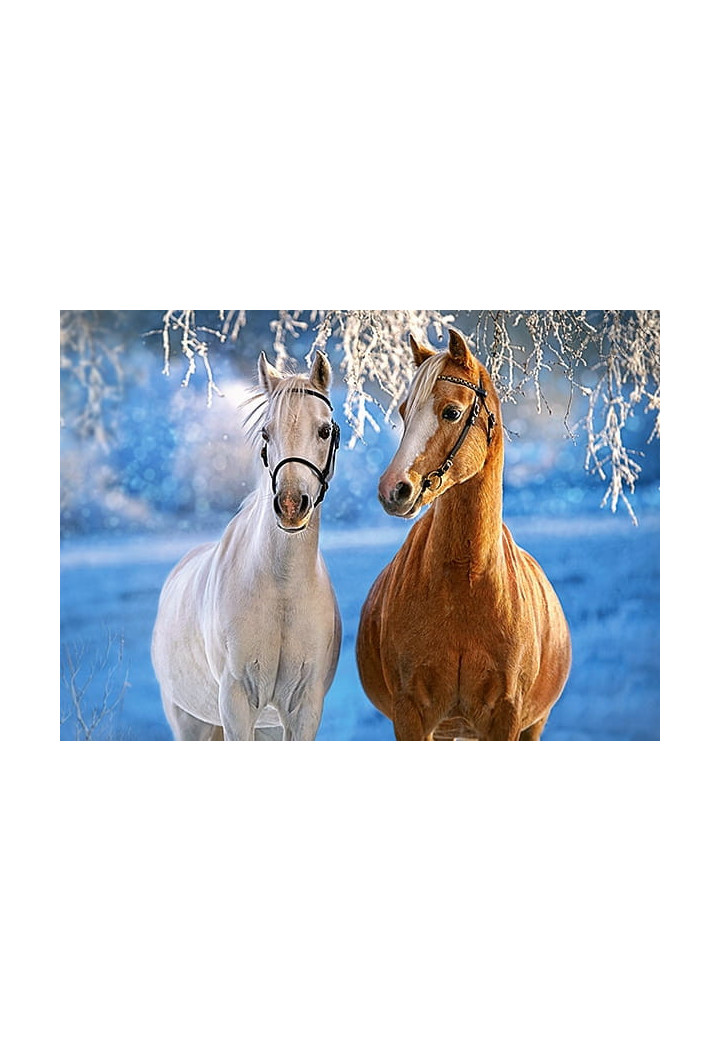 Puzzle CASTORLAND Winter Horses 260 elementów
