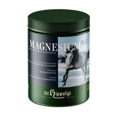 Suplement ST.HIPPOLYT Magnesium + B12 1kg