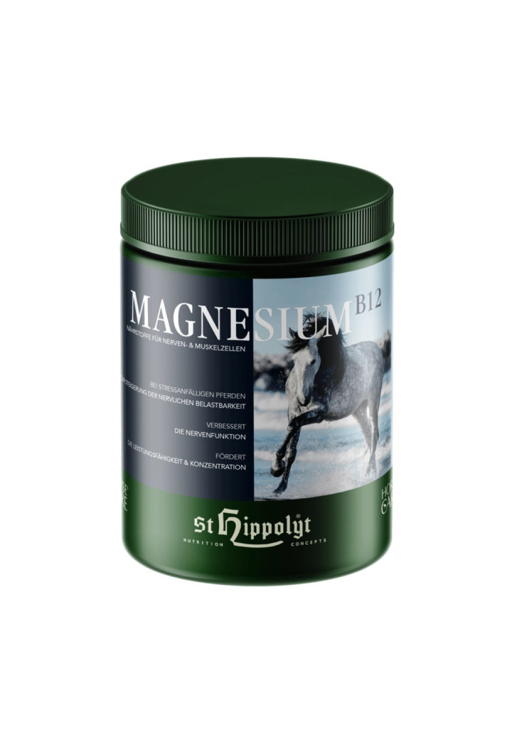Suplement ST.HIPPOLYT Magnesium + B12 1000g
