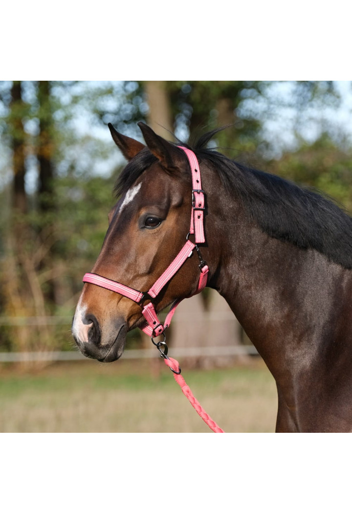 Kantar BUSSE Smooth Soft