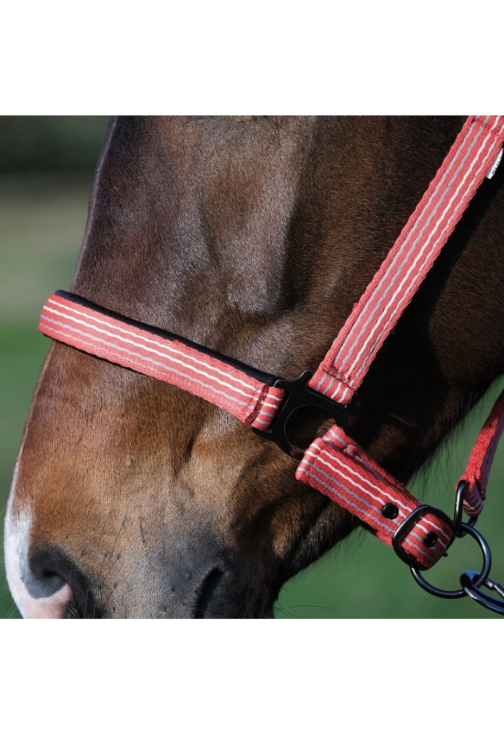 Kantar BUSSE Smooth Soft