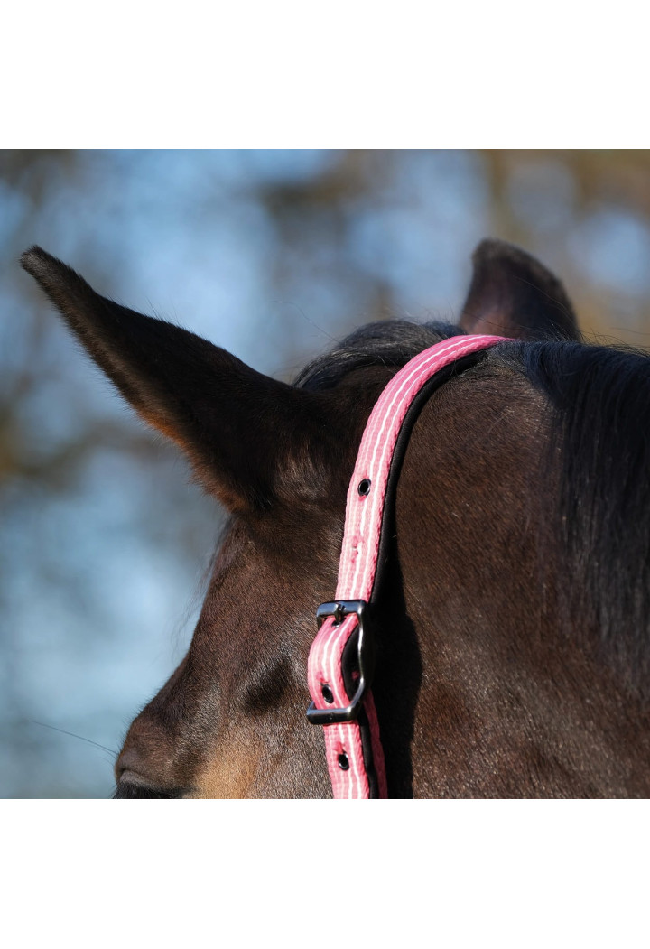 Kantar BUSSE Smooth Soft