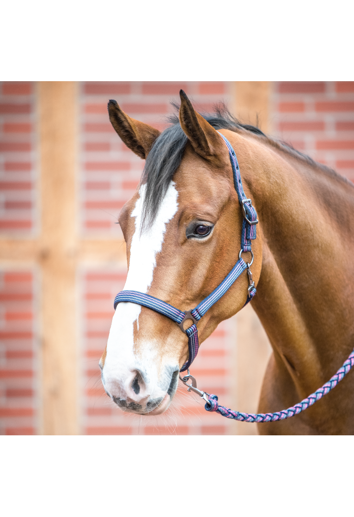 Kantar BUSSE Smooth Soft