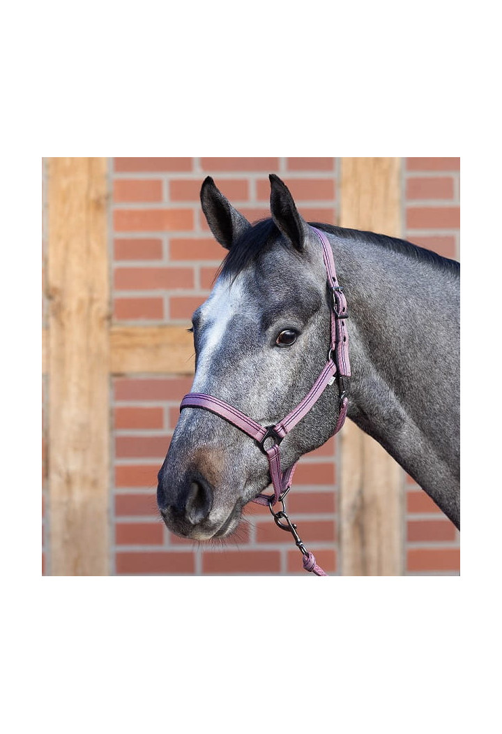 Kantar BUSSE Smooth Soft