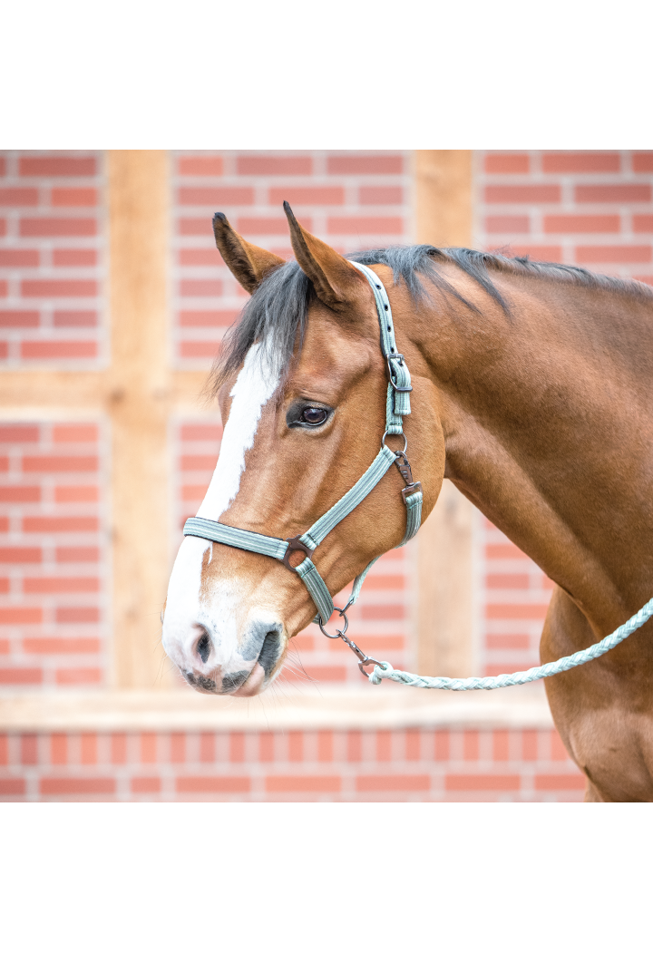 Kantar BUSSE Smooth Soft