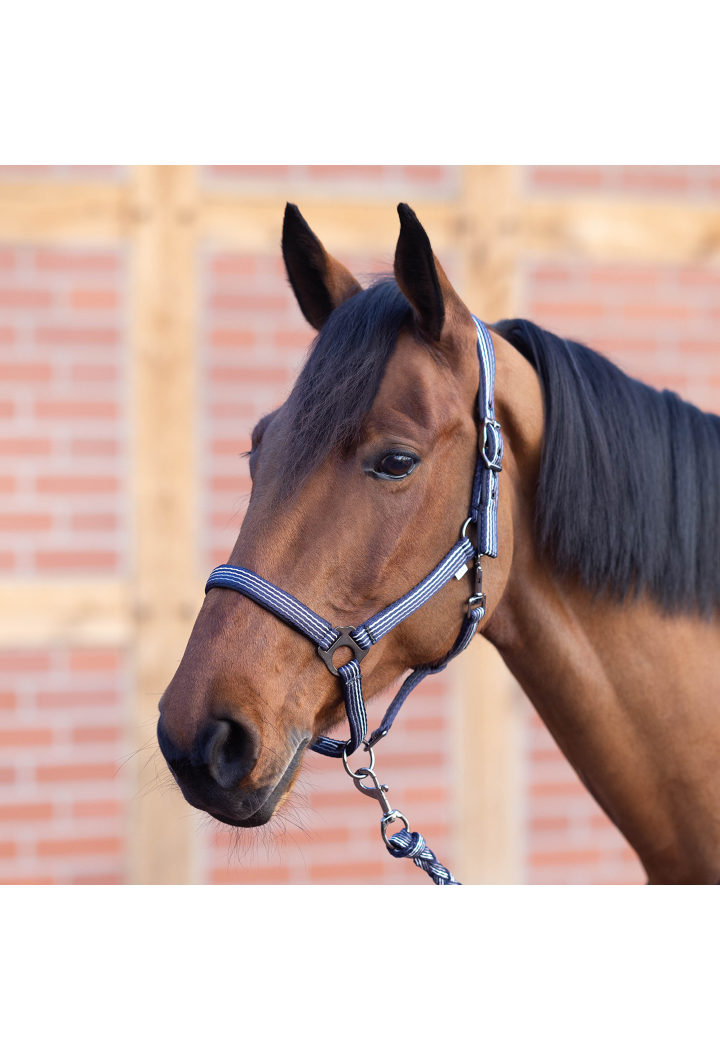 Kantar BUSSE Smooth Soft