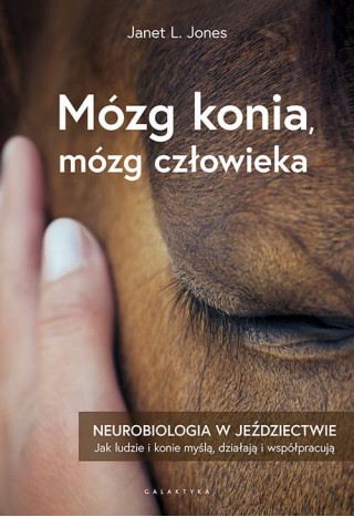 Książka "Mózg Konia. Mózg Człowieka"