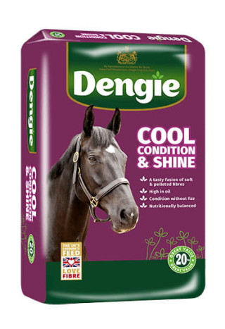 Sieczka DENGIE Condition&Shine 20kg