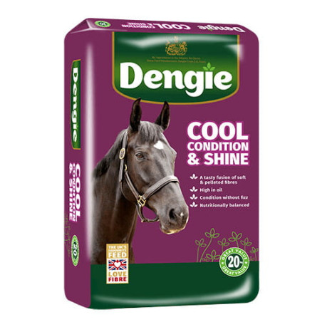 Sieczka DENGIE Condition&Shine 20kg